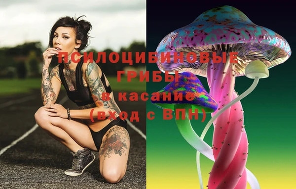 твердый Баксан